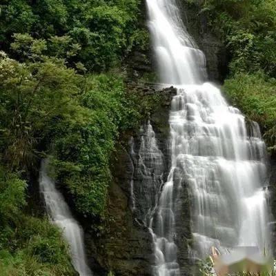 召唤神龙万宁版祖龙